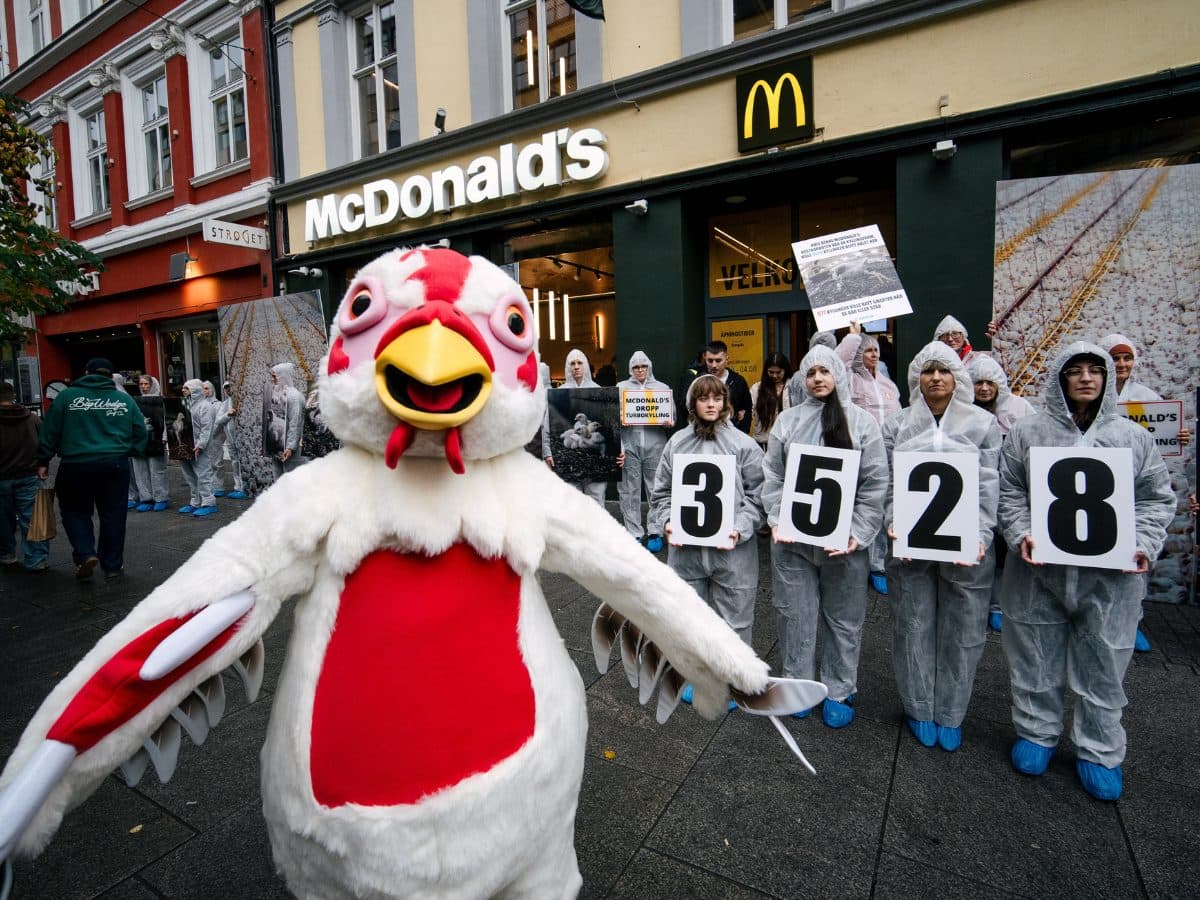 Aksjon utenfor en McDonald's restaurant med mennesker som holder tallene 3528 og en som er utkledd som en stor turbokylling i front