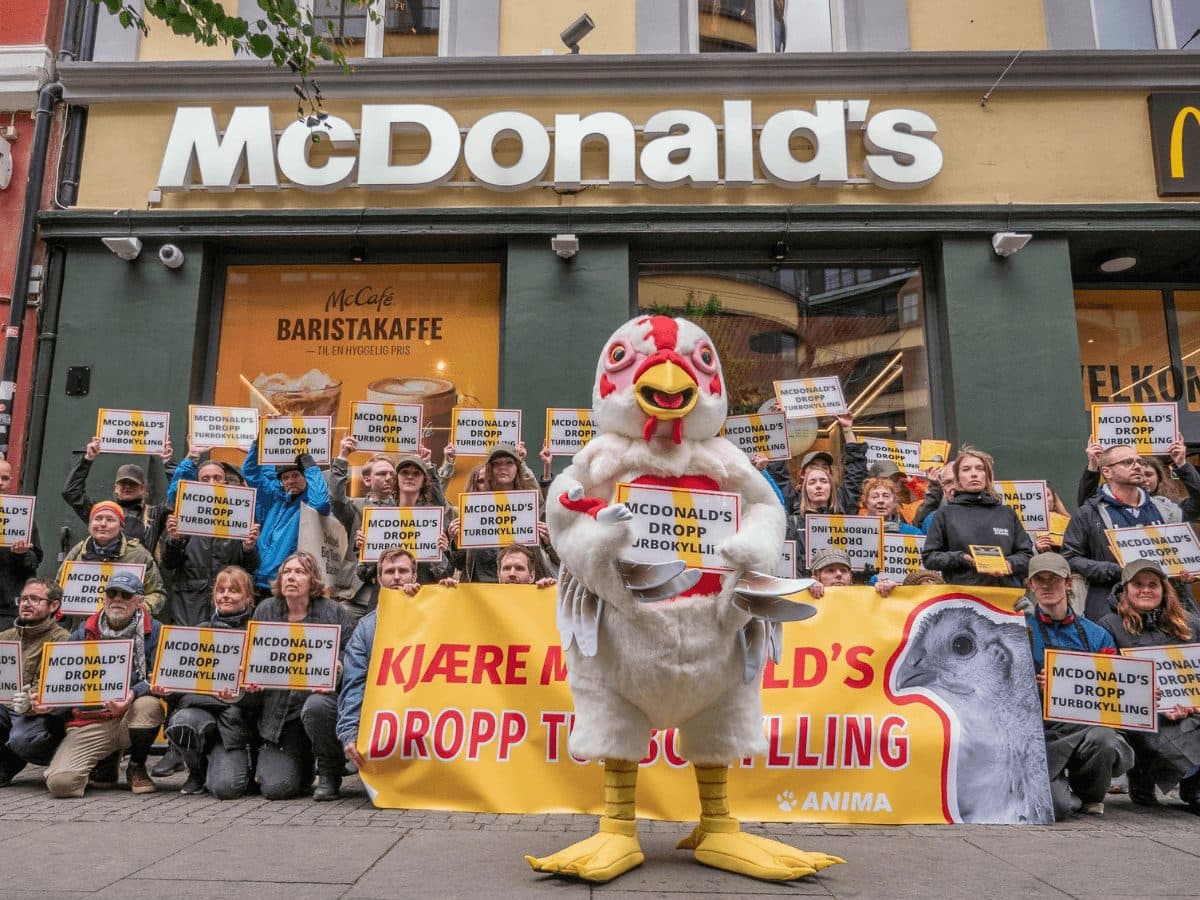 Bildet av aktivister utenfor McDonald's i Storgata, med en person i stor kyllingkostyme i front.